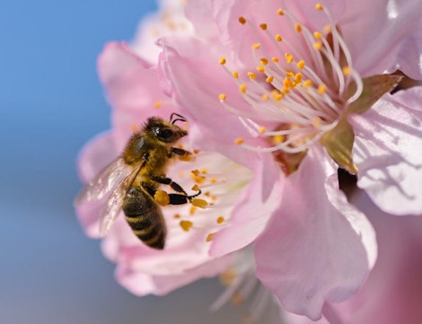 Credit UWE ANSPACH / DPA / DPA Picture-Alliance