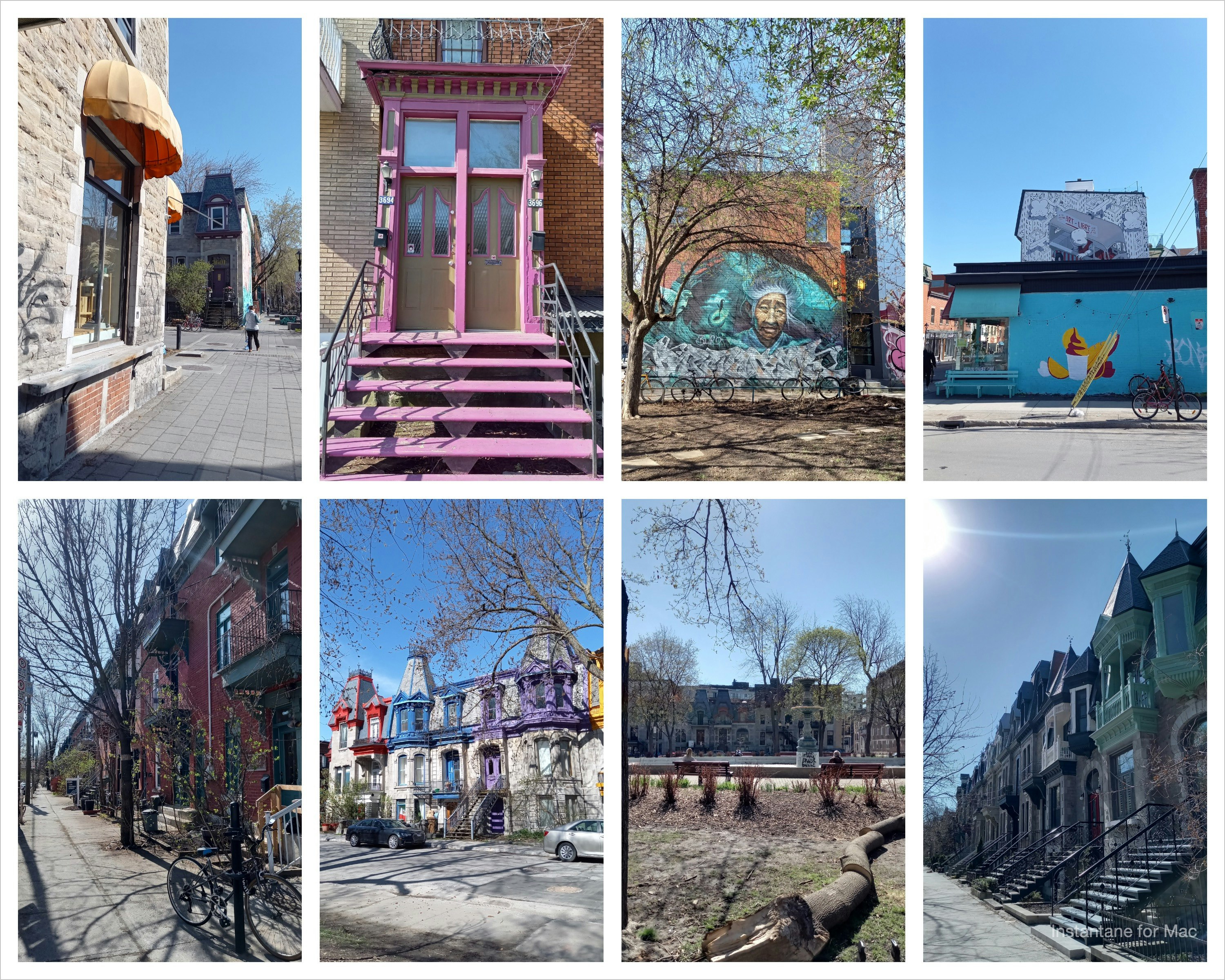 Montréal sous le soleil ☀️ balade dans le quartier, on observe le Printemps s'installer doucement...