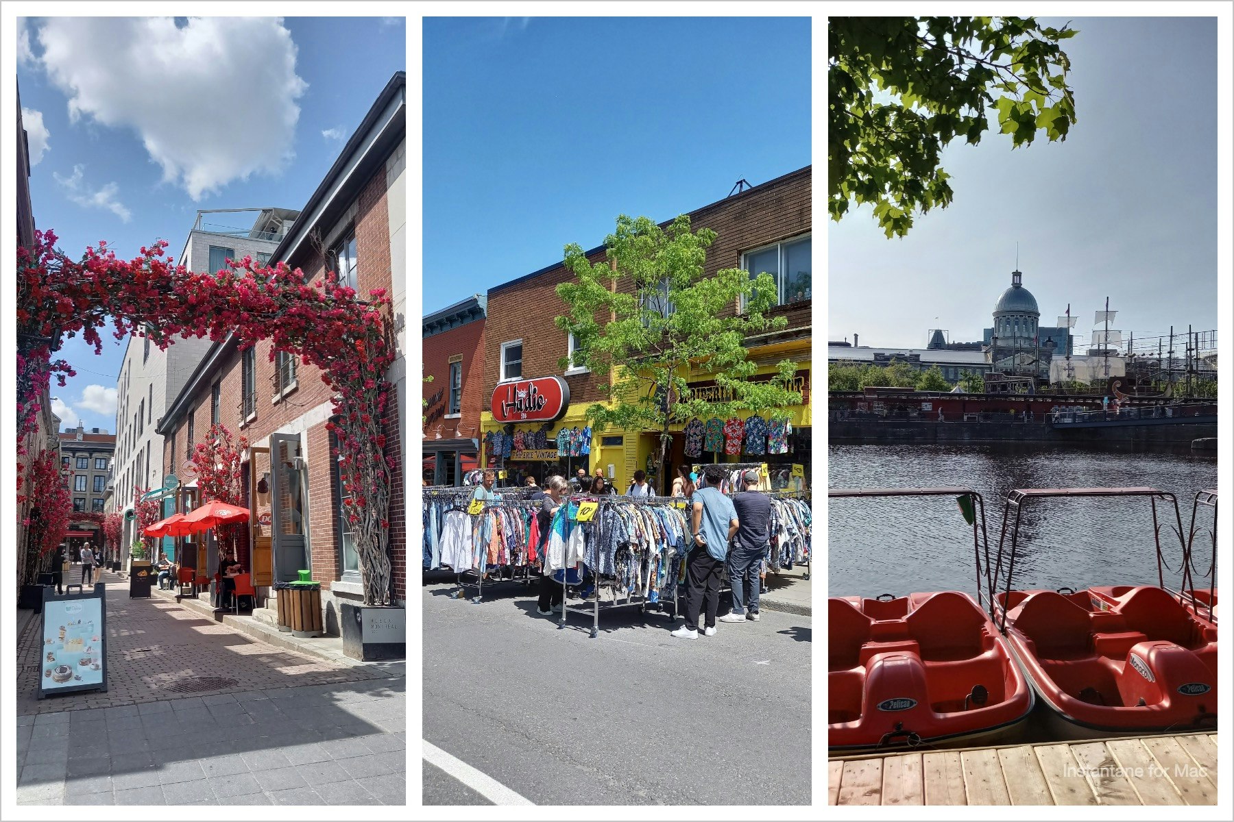 L'été arrive à Montréal, la vie y est si douce...