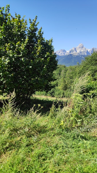 Cette vue tous les matins !