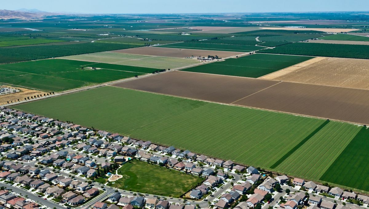 Le changement d'usage des terres a un grand impact sur la biodiversité 