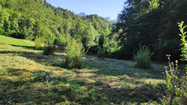 Après le débroussaillage