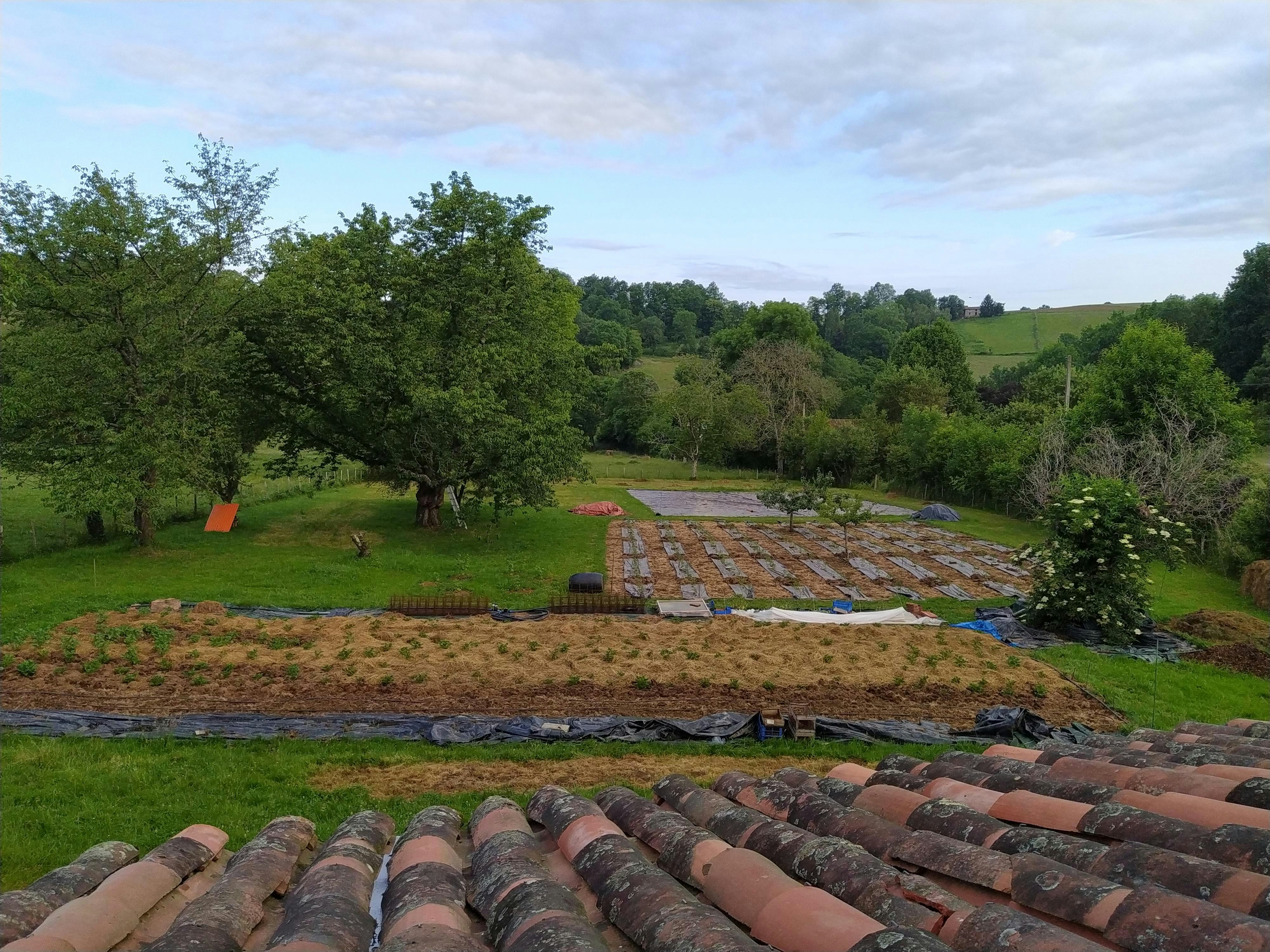 Le terrain à la fin mai. Crédits : S.D.