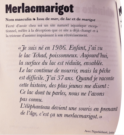 Extrait du dictionnaire "Les mots qu'il nous faut", Jeanne Henin, La Mer Salée Ed.