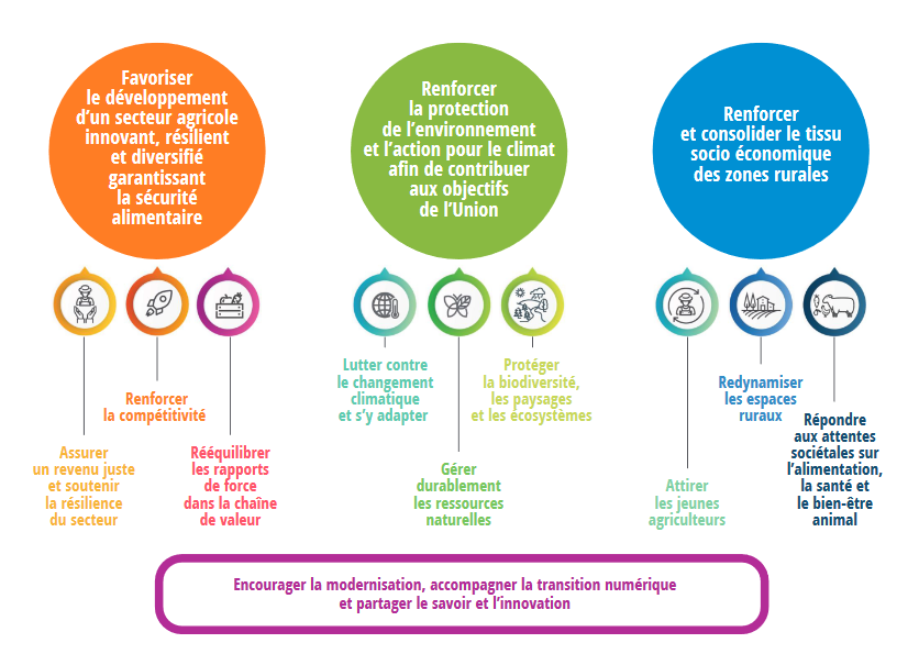 Ministère de l'Agriculture et de la Souveraineté alimentaire, PSN PAC : définition du plan stratégique national [pour la France]