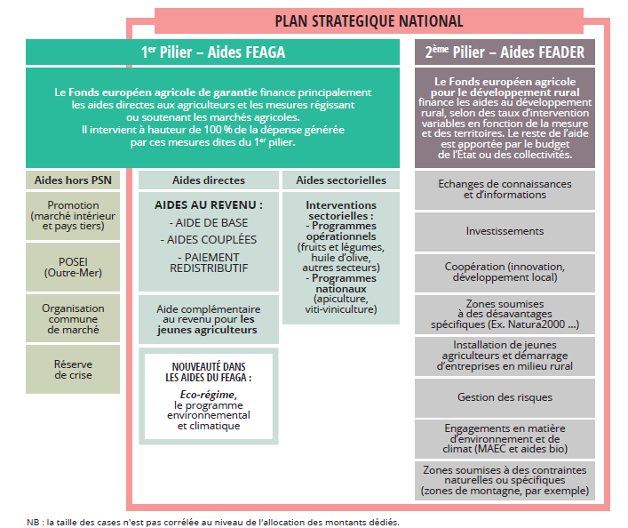 Ministère de l'Agriculture et de la Souveraineté alimentaire, PSN PAC : définition du plan stratégique national [pour la France]