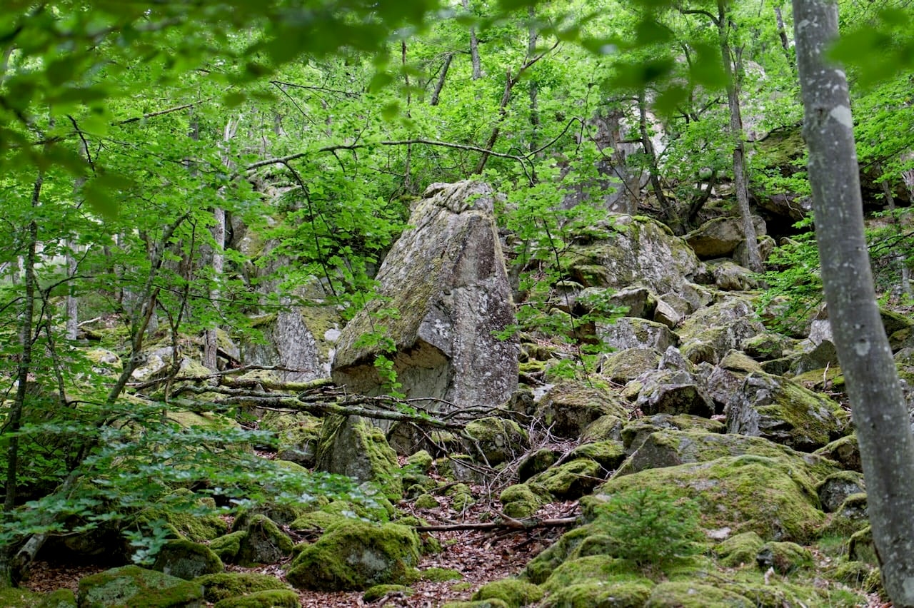 C'est vrai qu'il y a quand même de sacréments gros cailloux.