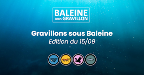 Gravillons sous Baleine du 11/09