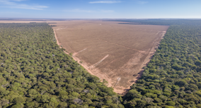 Déforestation : l’UE s’attire les foudres de ses partenaires commerciaux