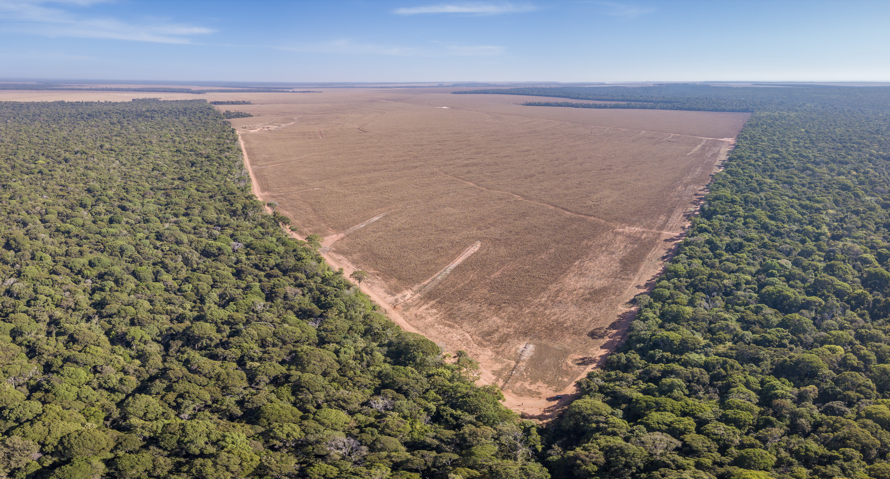 Déforestation de l’Amazonie, Mato Grosso, Brésil © iStock, Paralaxis