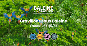 Gravillons sous Baleine du 09/10