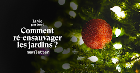 Et si on en finissait avec les sapins de Noël ?